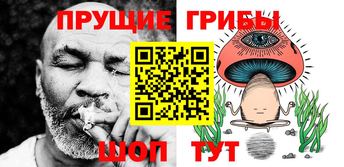 Галлюциногенные грибы Psilocybine cubensis  Вход с VPN  Кунгур  Галлюциногенные грибы Cubensis 