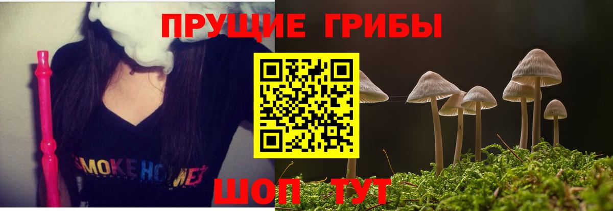 Псилоцибиновые грибы GOLDEN TEACHER Кунгур